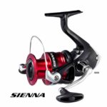 Shimano Sienna FG